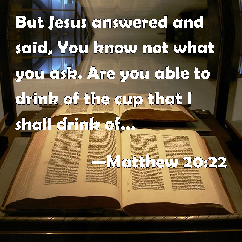 Matthew 2022 But Jesus answered and said, You know not what you ask