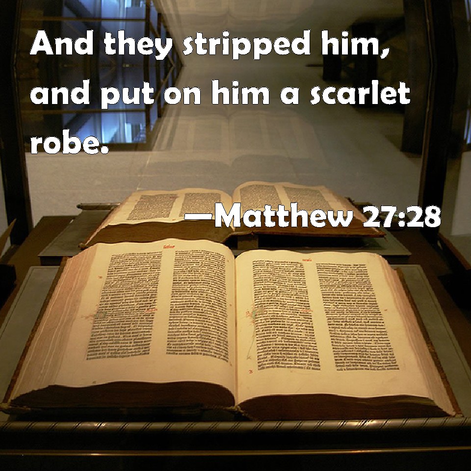 Matthew 2728 And they stripped him, and put on him a scarlet robe.