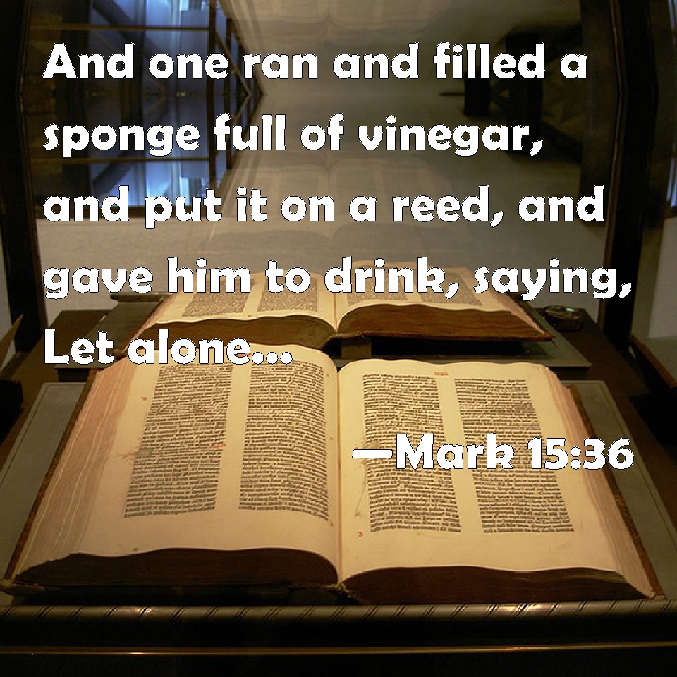 Mark 1536 And one ran and filled a sponge full of vinegar, and put it