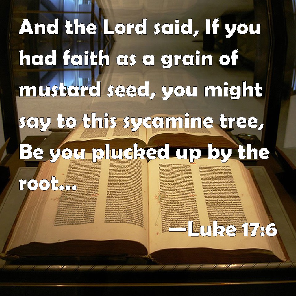 Luke 176 And the Lord said, If you had faith as a grain of mustard