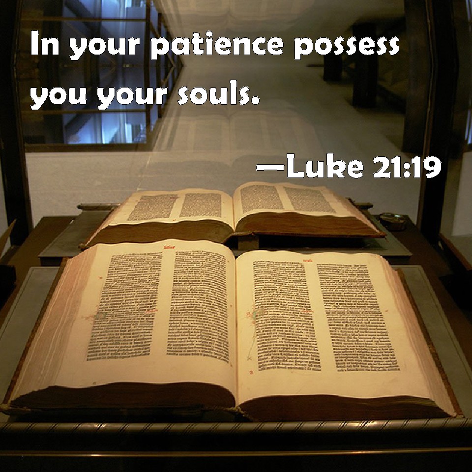 Luke 2119 In your patience possess you your souls.