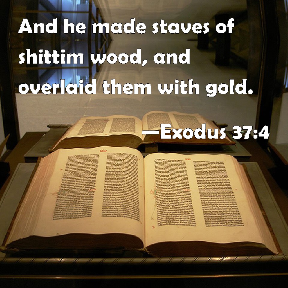 Exodus 374 And he made staves of shittim wood, and overlaid them with