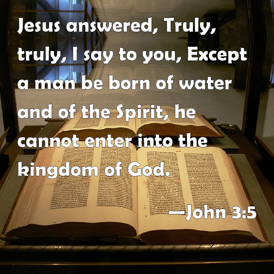 John 35 Jesus answered, Truly, truly, I say to you, Except a man be