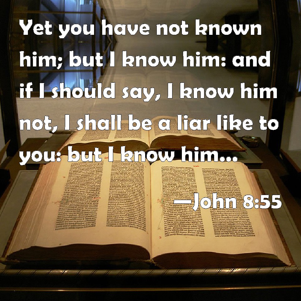 John 855 Yet you have not known him; but I know him and if I should