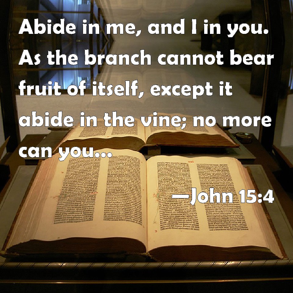 John 154 Abide in me, and I in you. As the branch cannot bear fruit of