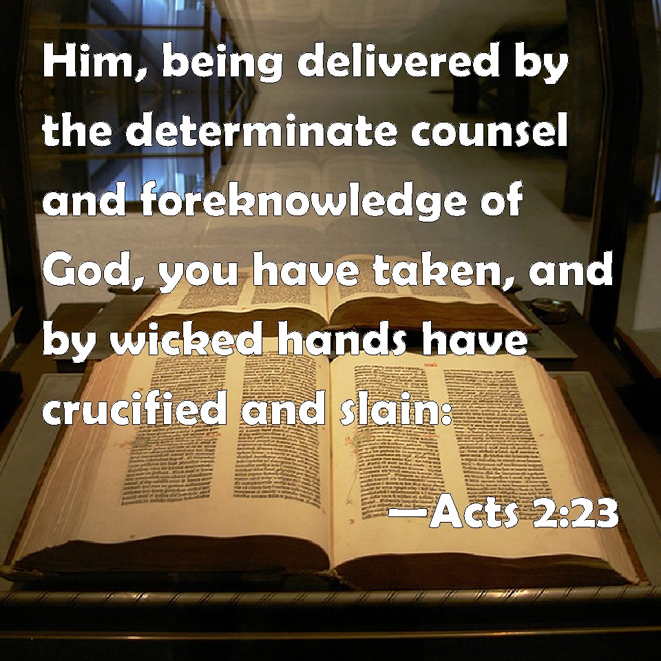 Acts 223 Him, being delivered by the determinate counsel and