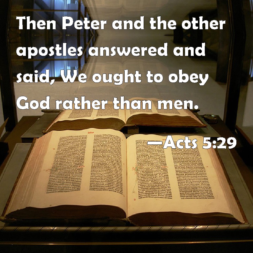 Acts 529 Then Peter and the other apostles answered and said, We ought