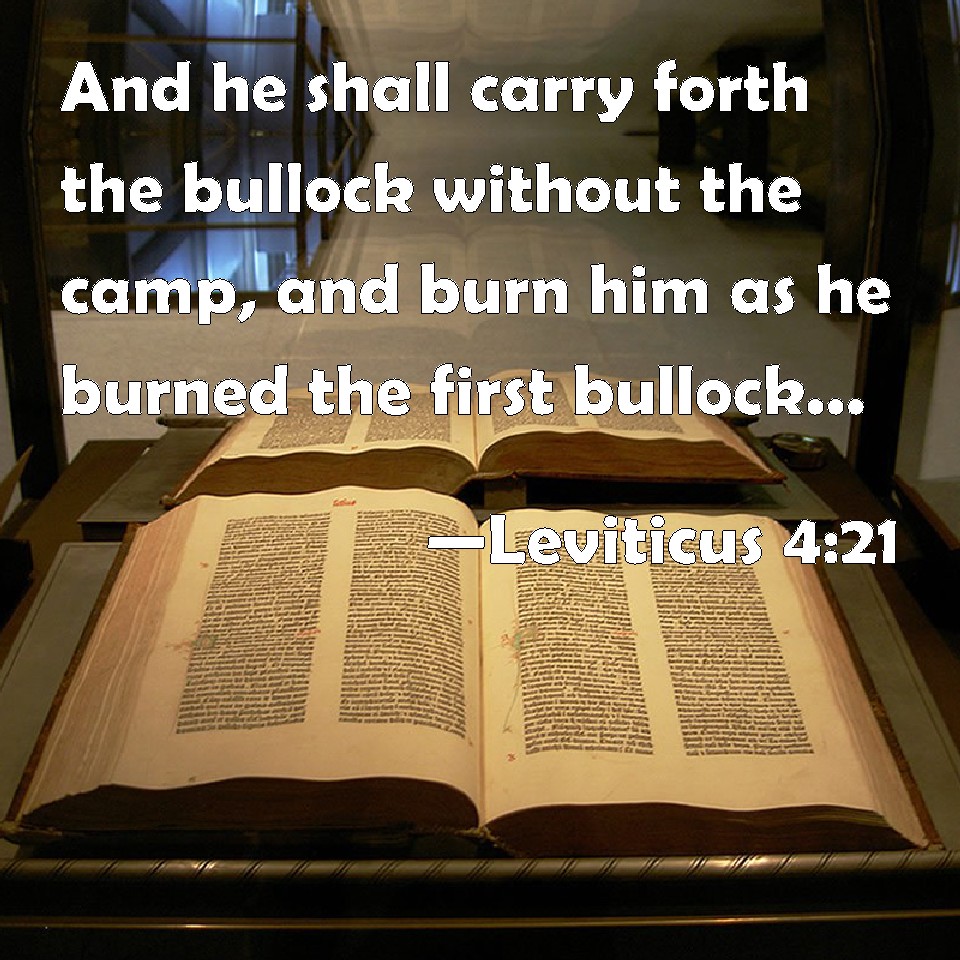 Leviticus 421 And he shall carry forth the bullock without the camp