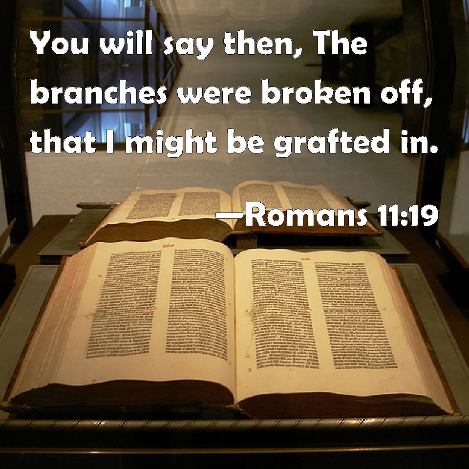 Romans 1119 You will say then, The branches were broken off, that I