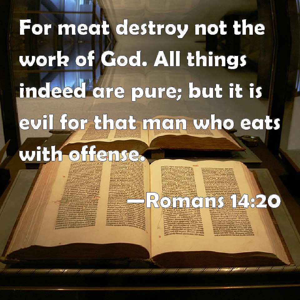 Romans 1420 For meat destroy not the work of God. All things indeed