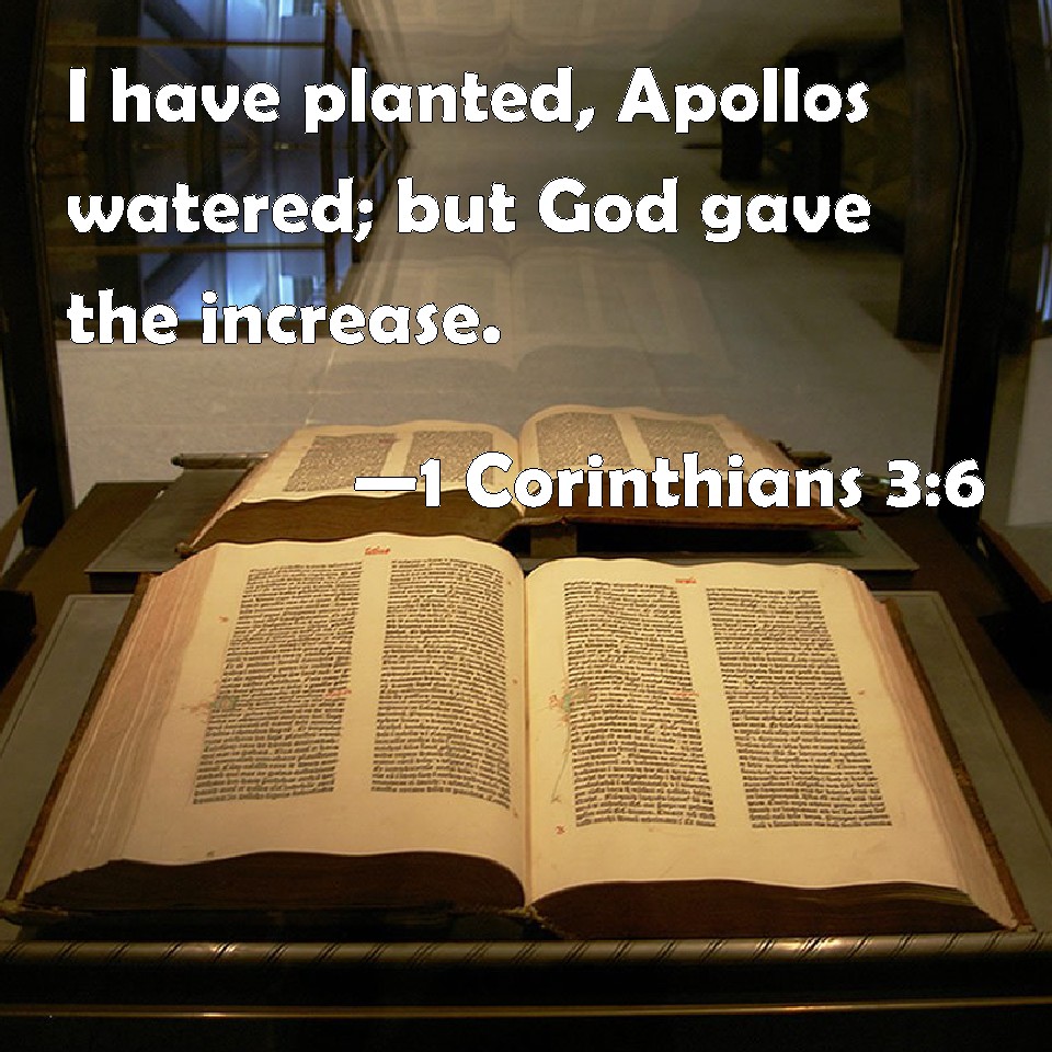 1 Corinthians 36 I have planted, Apollos watered; but God gave the