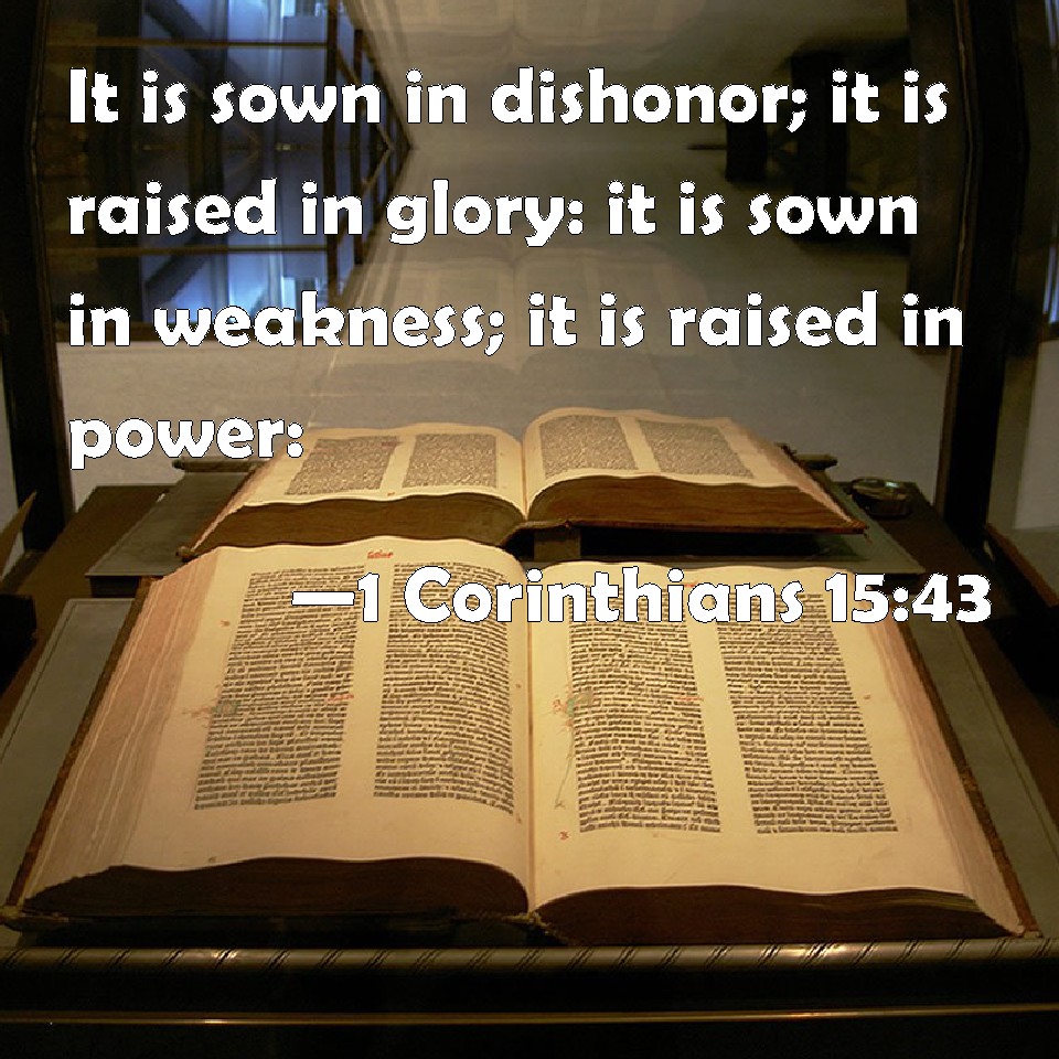 1 Corinthians 1543 It is sown in dishonor; it is raised in glory it