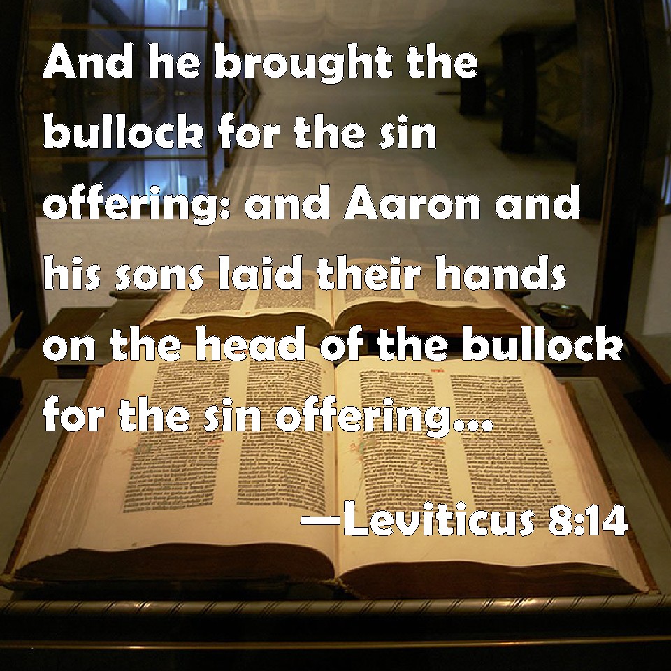 Leviticus 814 And he brought the bullock for the sin offering and