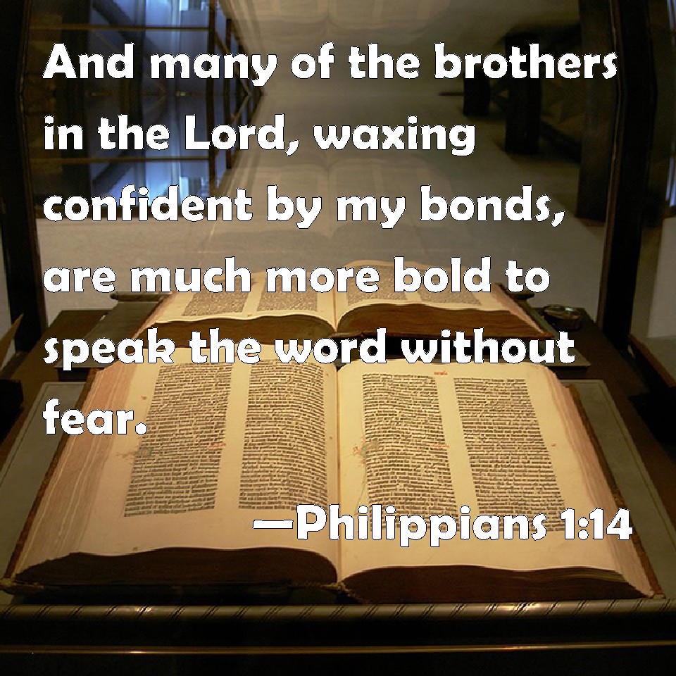 Philippians 114 And many of the brothers in the Lord, waxing confident