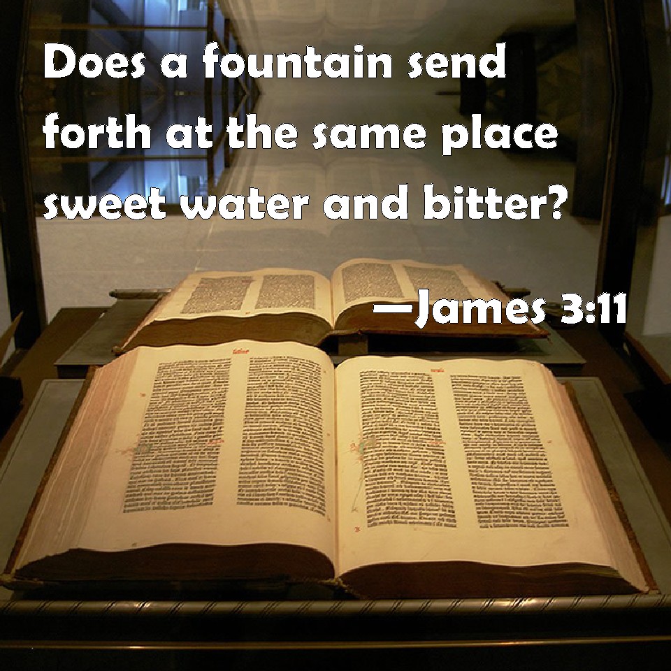 James 311 Does a fountain send forth at the same place sweet water and