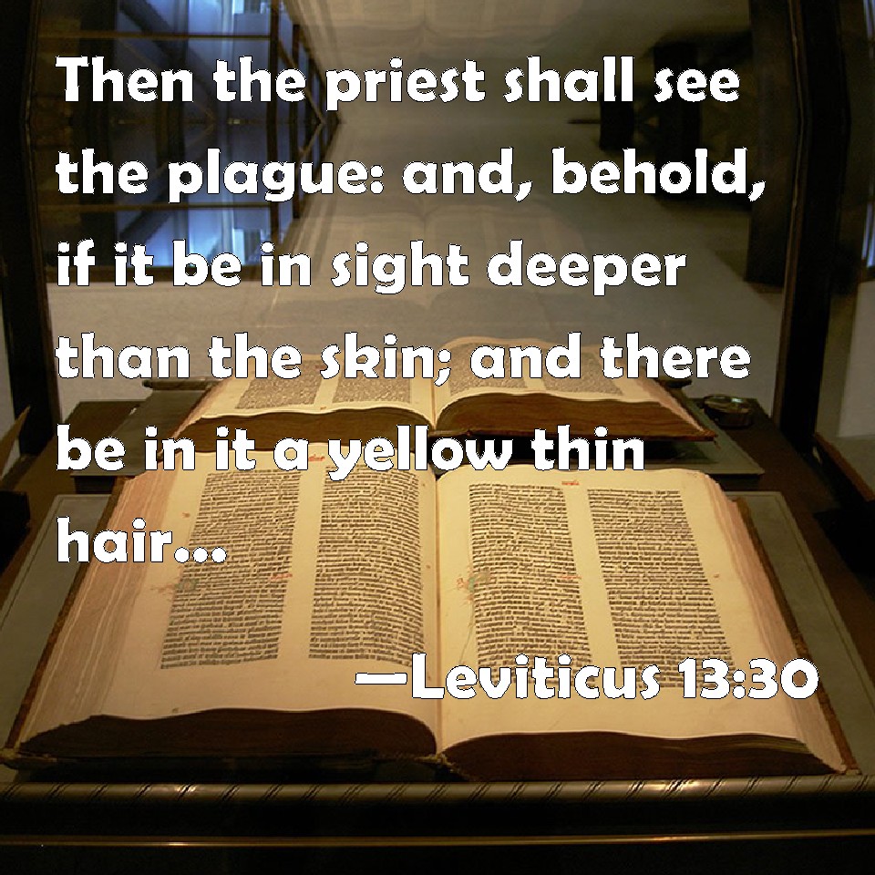 Leviticus 1330 Then the priest shall see the plague and, behold, if