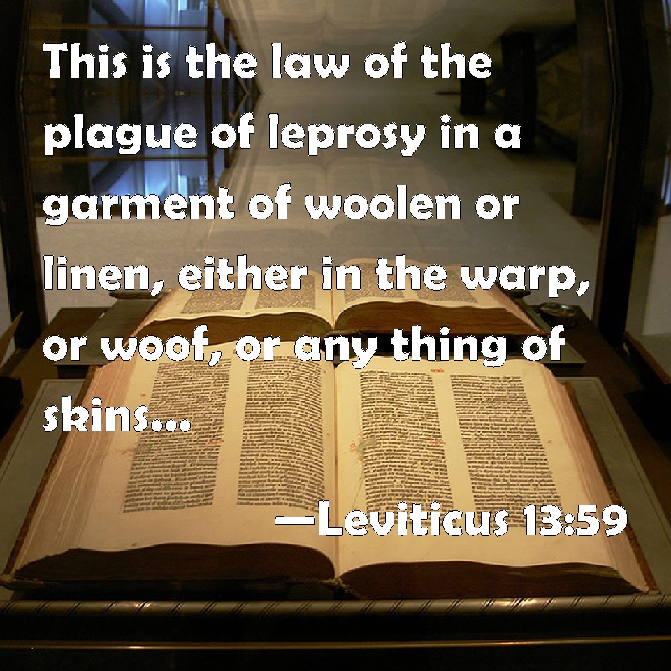 Leviticus 1359 This is the law of the plague of leprosy in a garment