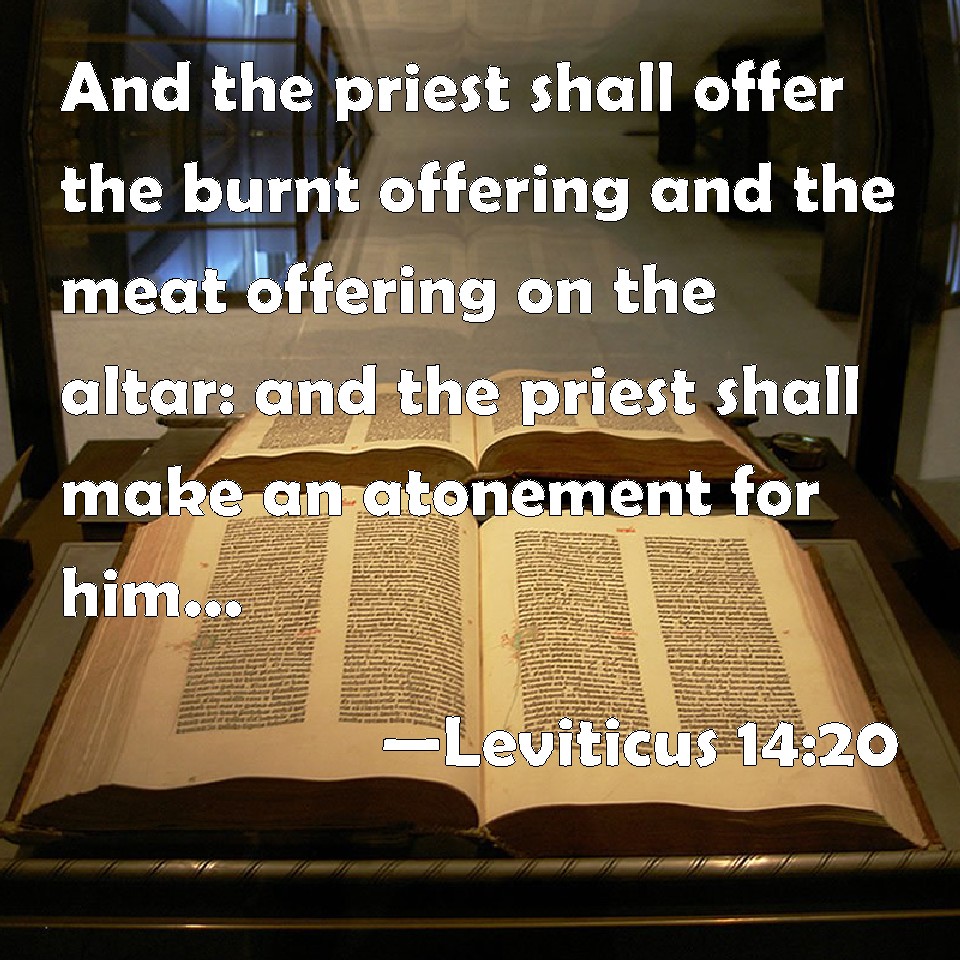 Leviticus 1420 And the priest shall offer the burnt offering and the