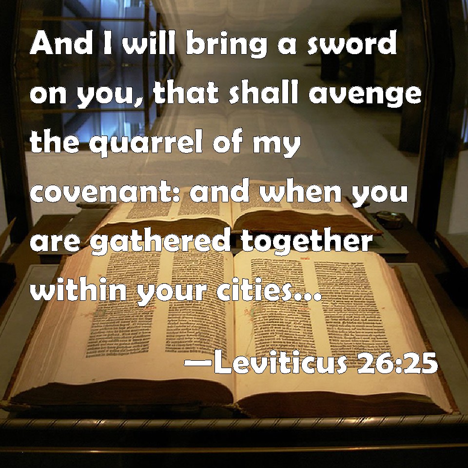 Leviticus 2625 And I will bring a sword on you, that shall avenge the
