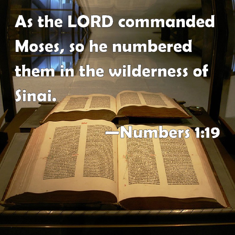 Numbers 119 As the LORD commanded Moses, so he numbered them in the