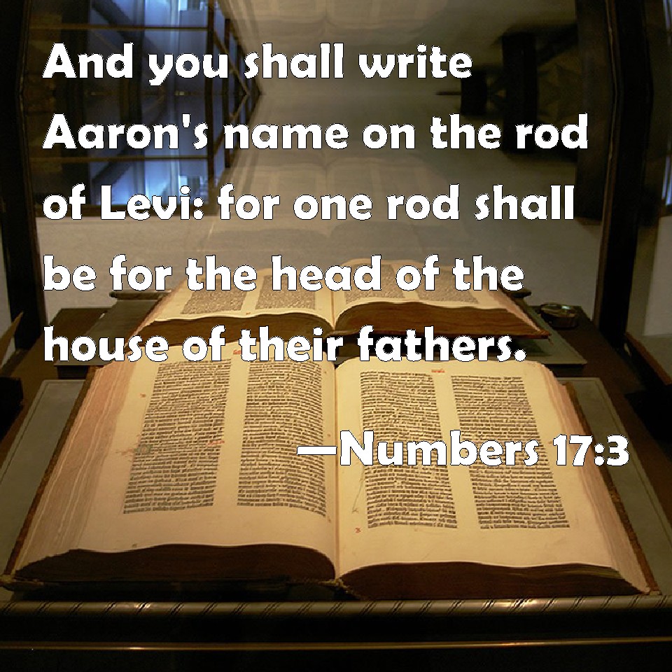 Numbers 173 And you shall write Aaron's name on the rod of Levi for