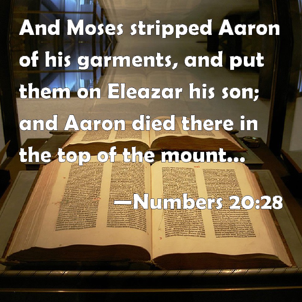 Numbers 2028 And Moses stripped Aaron of his garments, and put them on
