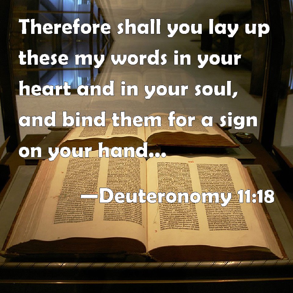 Deuteronomy 1118 Therefore shall you lay up these my words in your