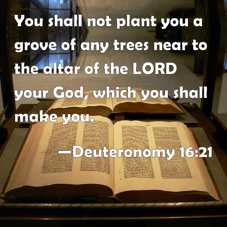 Deuteronomy Christmas Trees Deuteronomy 1621 You shall not plant you a grove of any trees near to