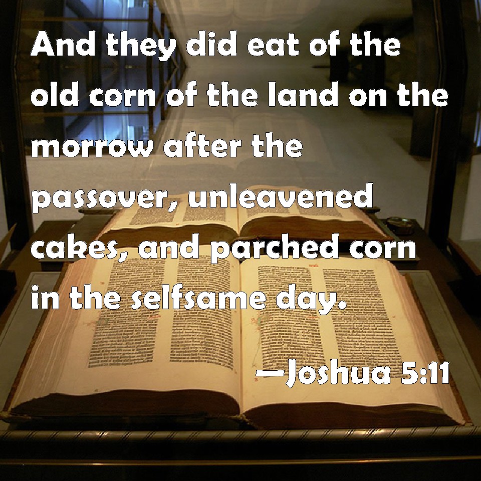 Joshua 511 And they did eat of the old corn of the land on the morrow