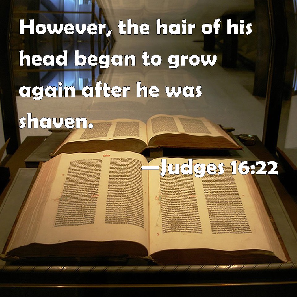 Judges 1622 However, the hair of his head began to grow again after he