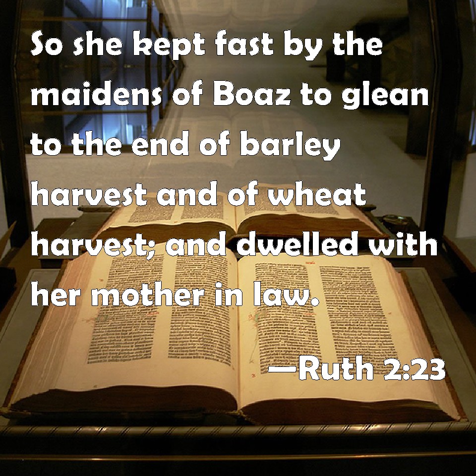 Ruth 223 So she kept fast by the maidens of Boaz to glean to the end of barley harvest and of