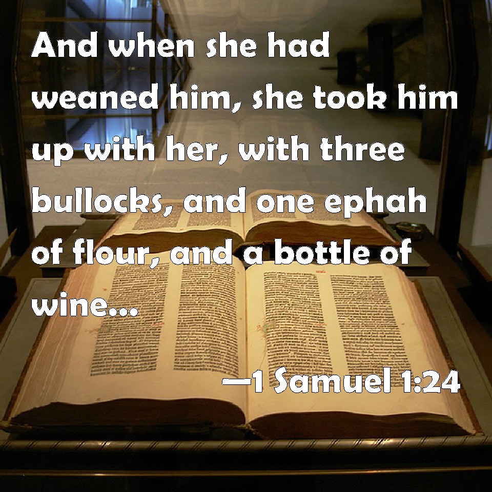 1 Samuel 124 And when she had weaned him, she took him up with her