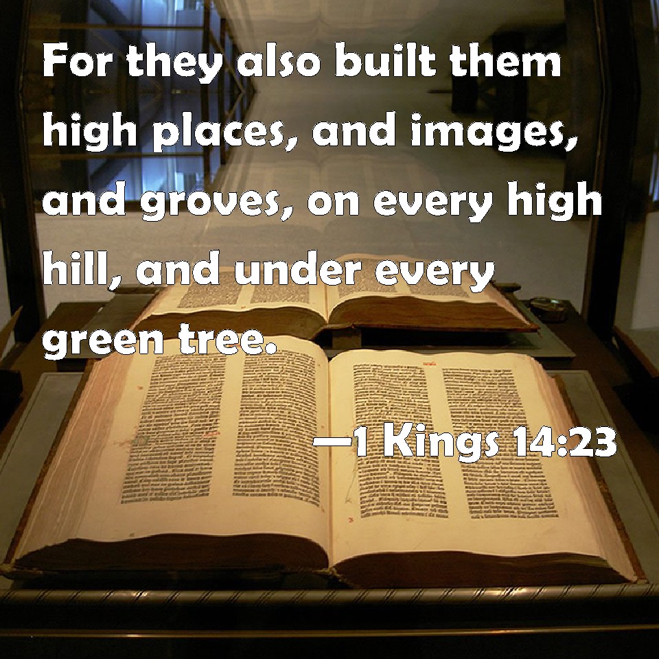 1 Kings 1423 For they also built them high places, and images, and