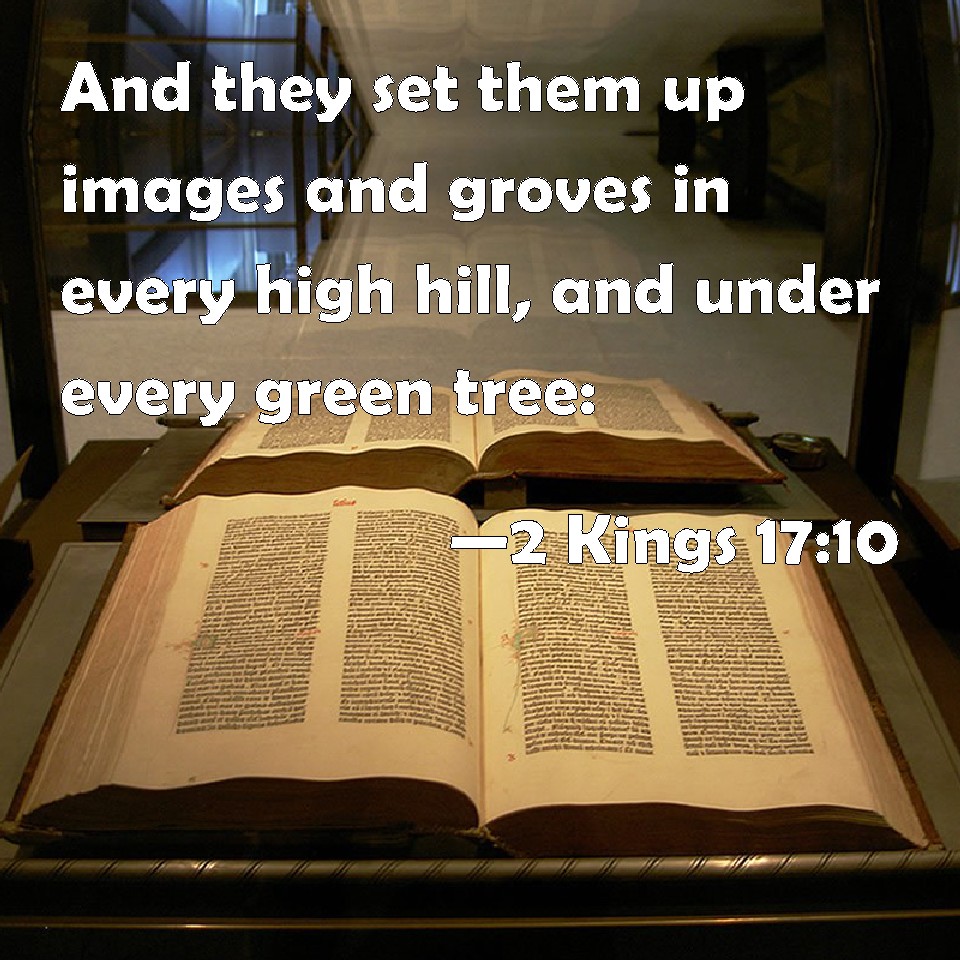 2 Kings 1710 And they set them up images and groves in every high hill