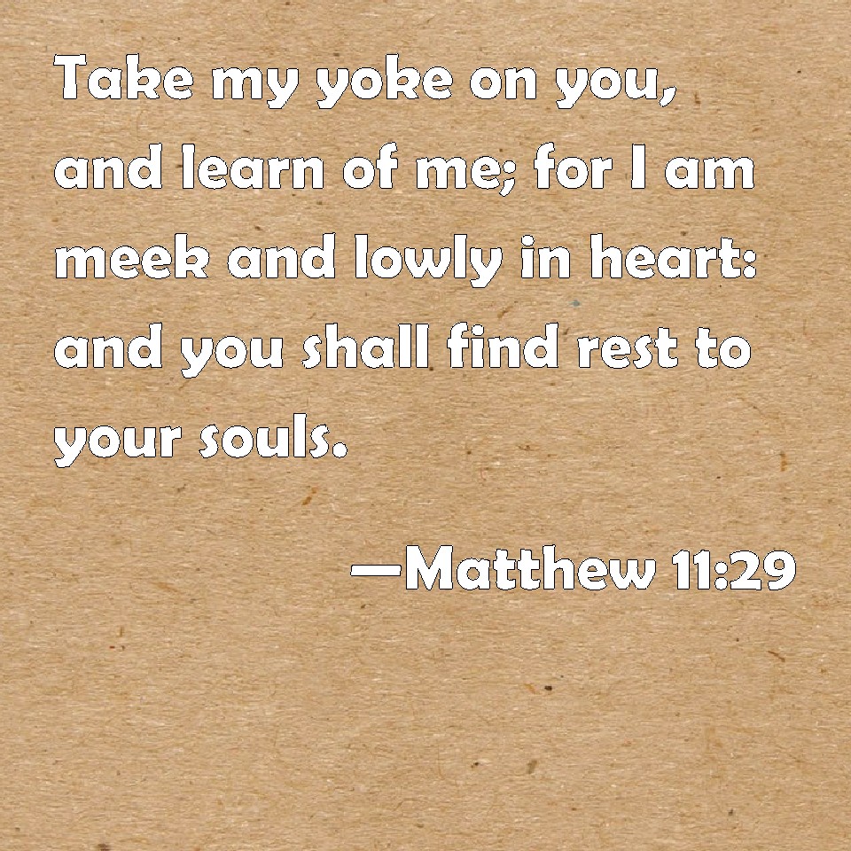Matthew 1129 Take my yoke on you, and learn of me; for I am meek and