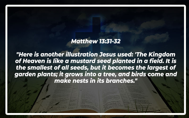 35 Bible Verses About Planting Seeds (Explained) Bible Repository