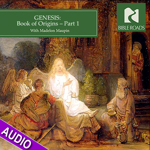 Genesis Book of Origins Bible Study Audio