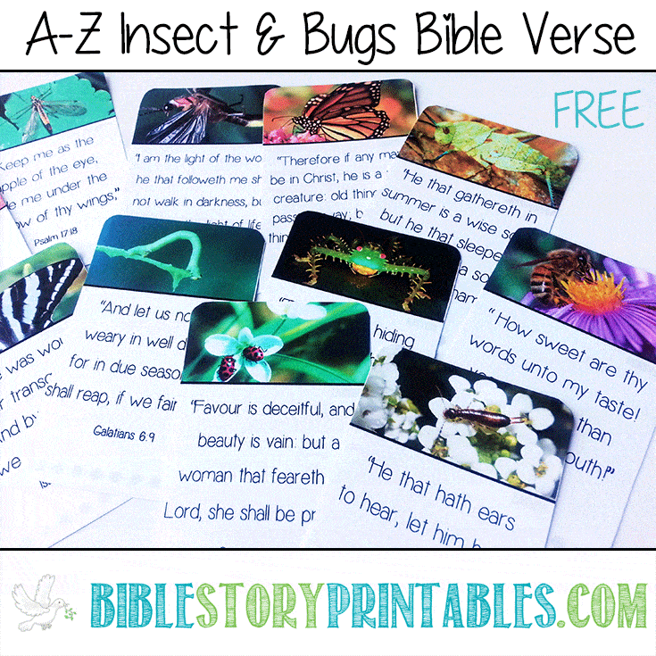 ABC Insect Bible Verse Cards Bible Story Printables