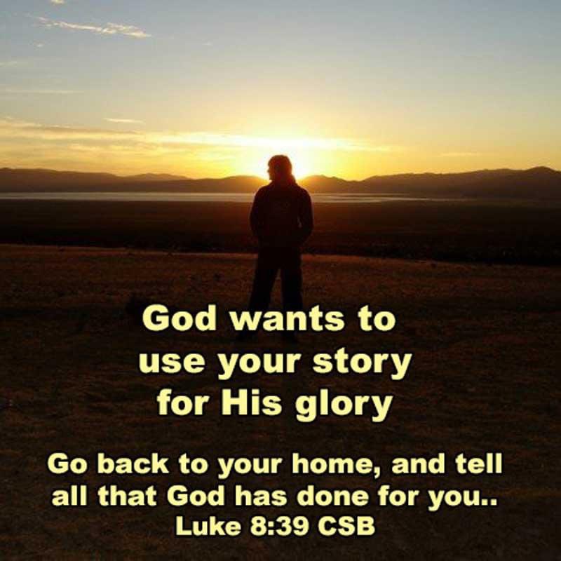 Beyond Comfort Zones The Bible Through the Seasons