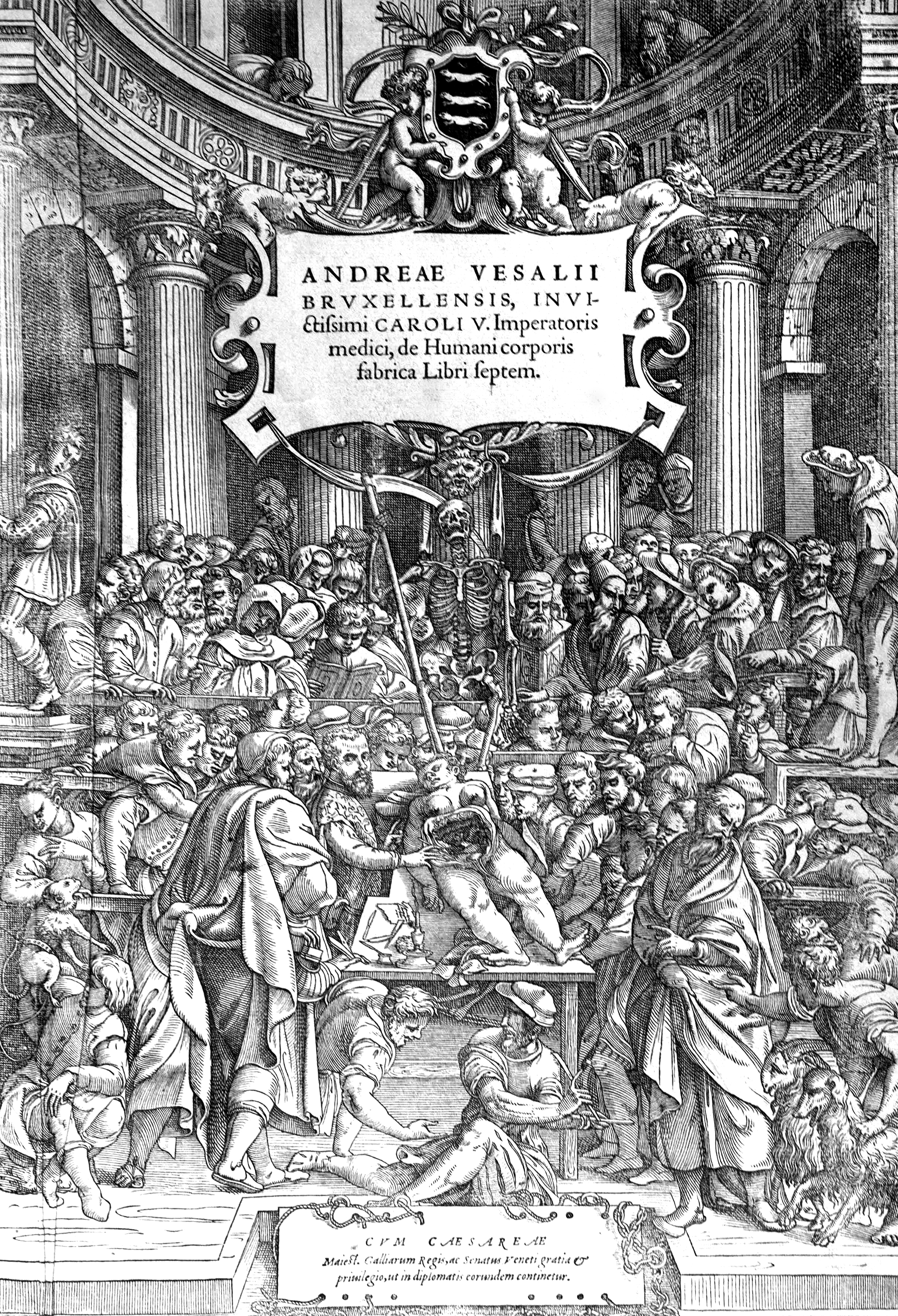 De humani corporis fabrica de Vésale Interfaces. Livres
