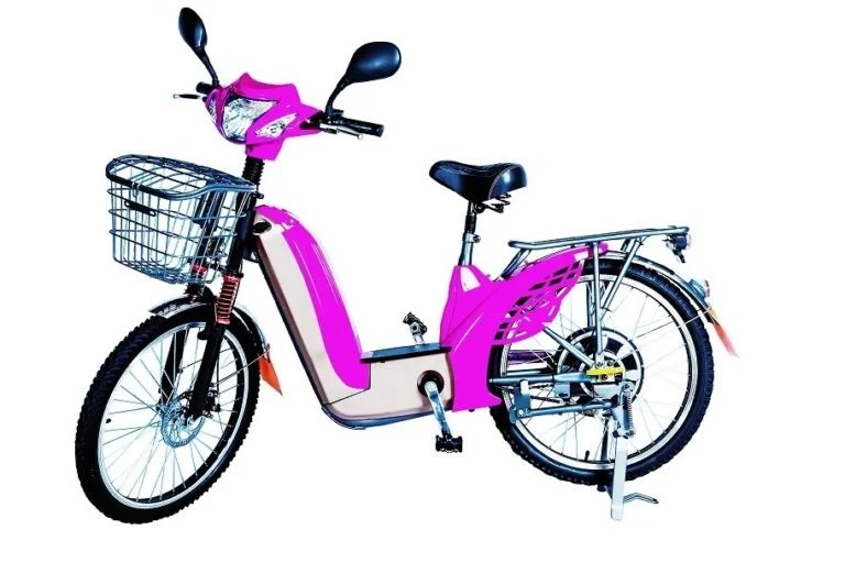 BICICLETA ELETRICA SOUSA 350W Bicicletaria do Japonês
