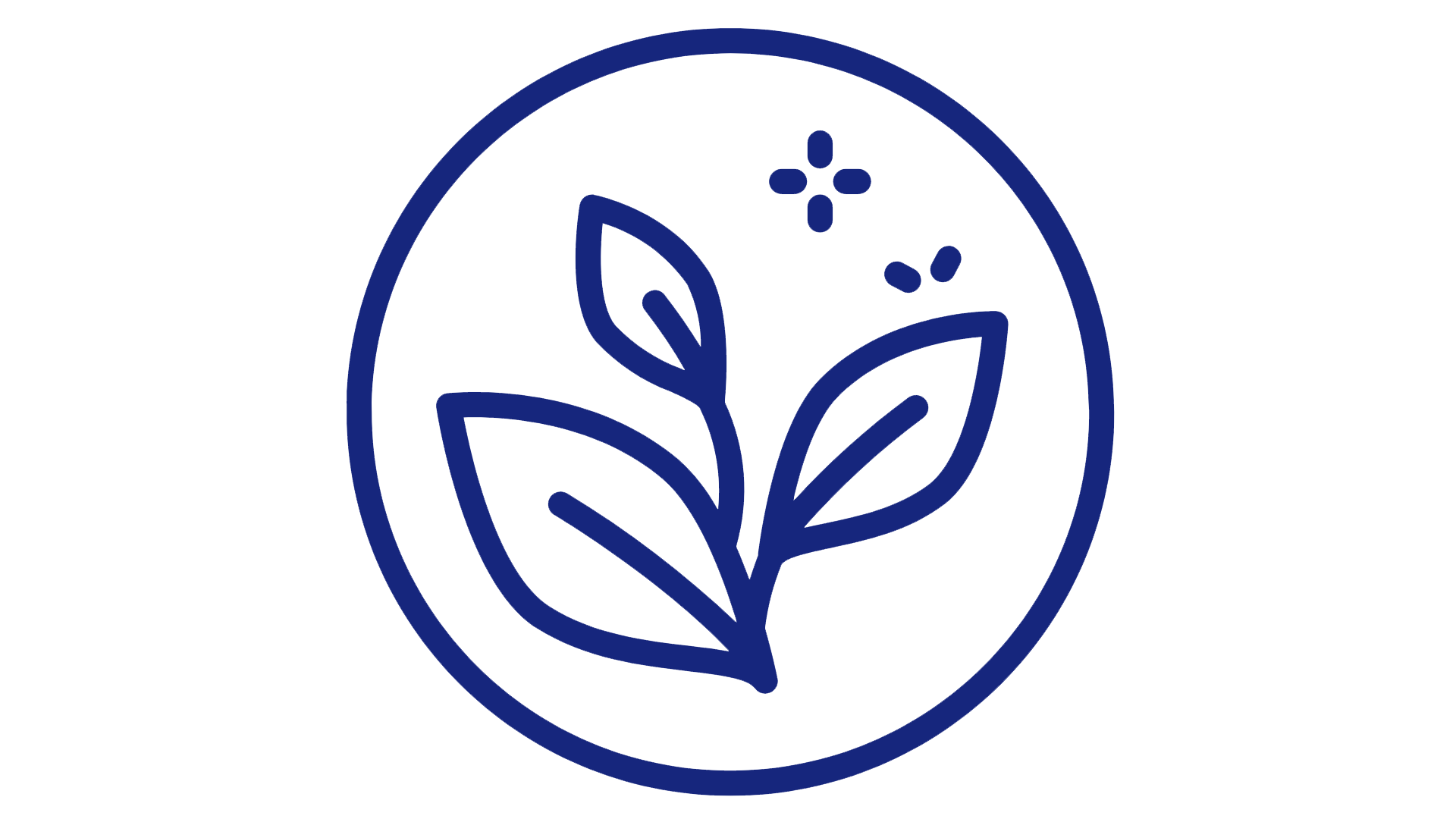 BIC Pharma Supplements, Vitamins Japan