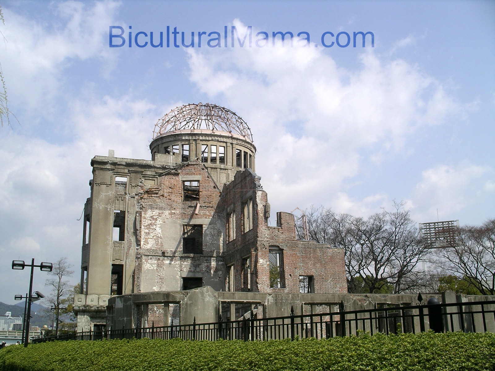 The Last Cherry Blossom Depicts Hiroshima Atomic Bomb through a Child’s Eyes Bicultural Mama