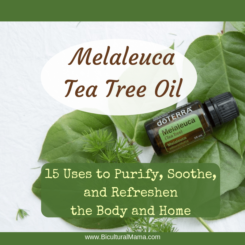 Melaleuca Tea Tree Oil 15 Uses to Purify, Soothe, and Refresh the