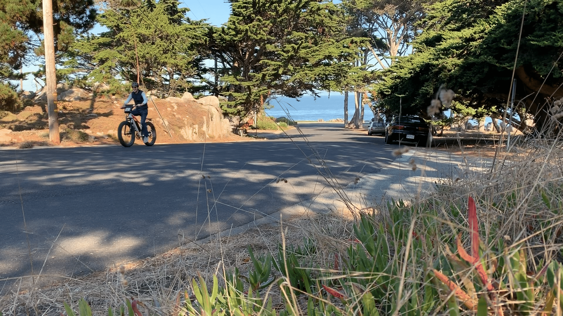 Best Electric Bike for Hilly Commute • Bicycle 2 Work