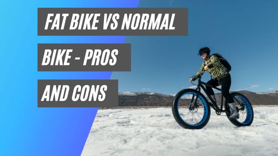 Fat Bike vs 'Normal' Bike Pros and Cons • Bicycle 2 Work