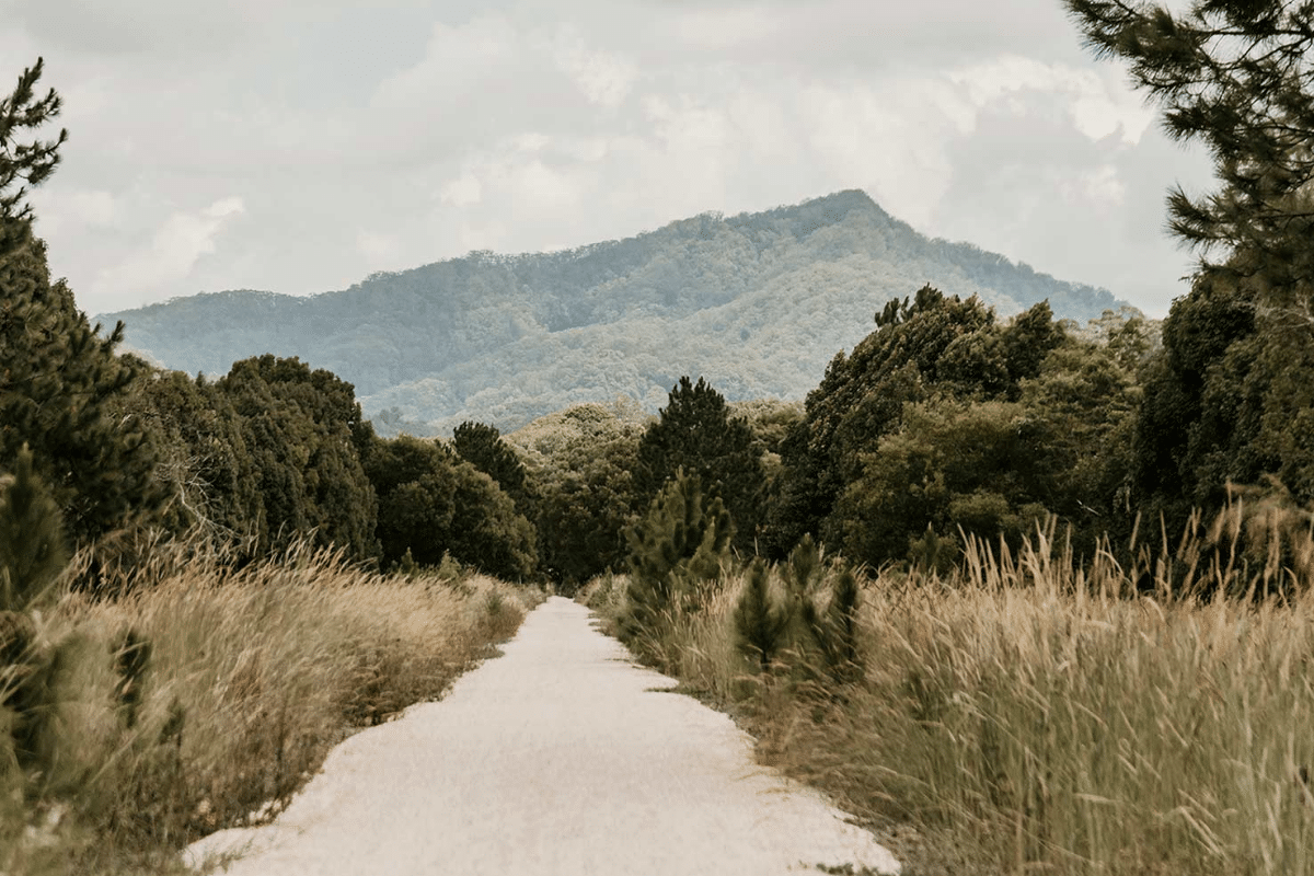 First section of Northern Rivers Rail Trail opens to the public