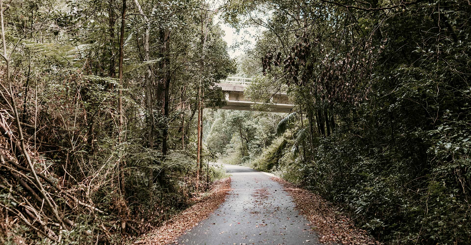 First section of Northern Rivers Rail Trail opens to the public