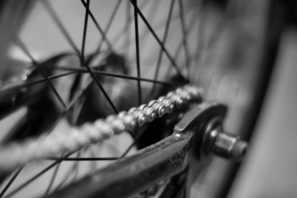 Central Coast Bike Rider Fatality I LOVE NUTRI