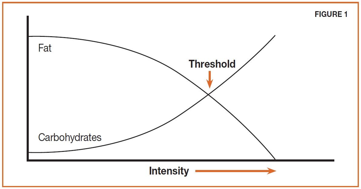 Low Carb Training Bicycling Australia